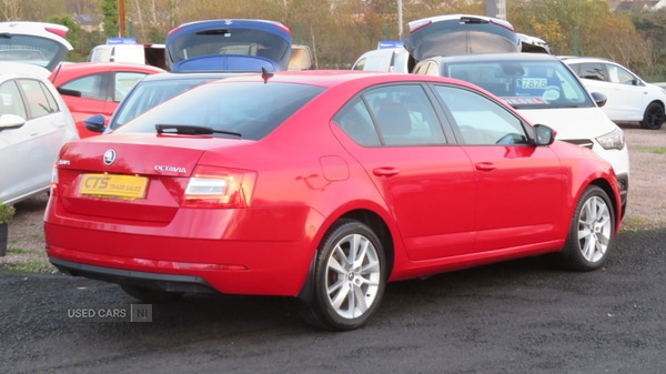 Used Skoda Octavia 2019 for sale - 76474063: Photo 7