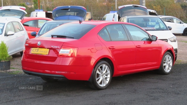 Used Skoda Octavia 2019 for sale - 76474063: Photo 8