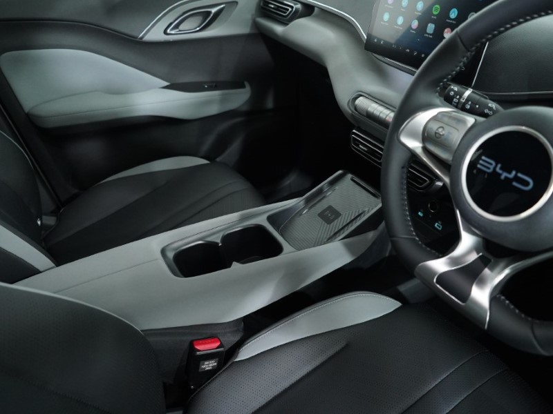 Used BYD Dolphin 2025 for sale - 76981812: Photo 22