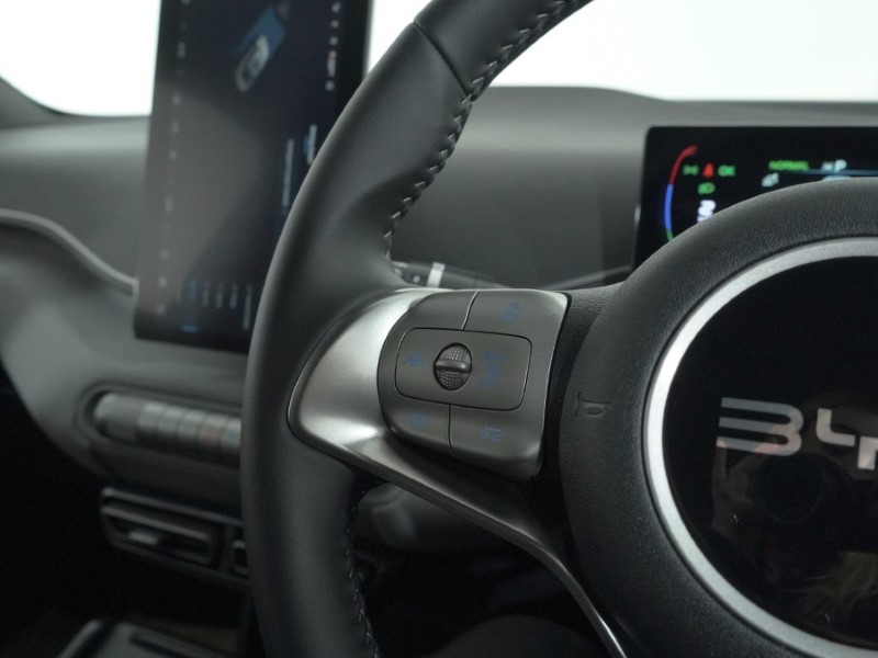 Used BYD Dolphin 2025 for sale - 77607063: Photo 21