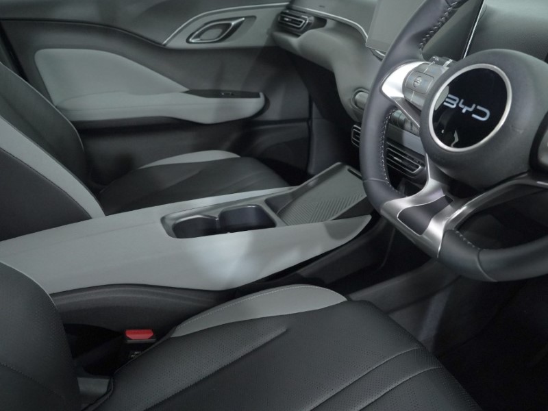 Used BYD Dolphin 2025 for sale - 77077064: Photo 10