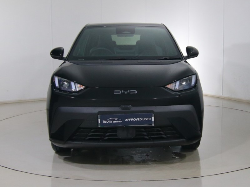 Used BYD Dolphin 2025 for sale - 77077064: Photo 16