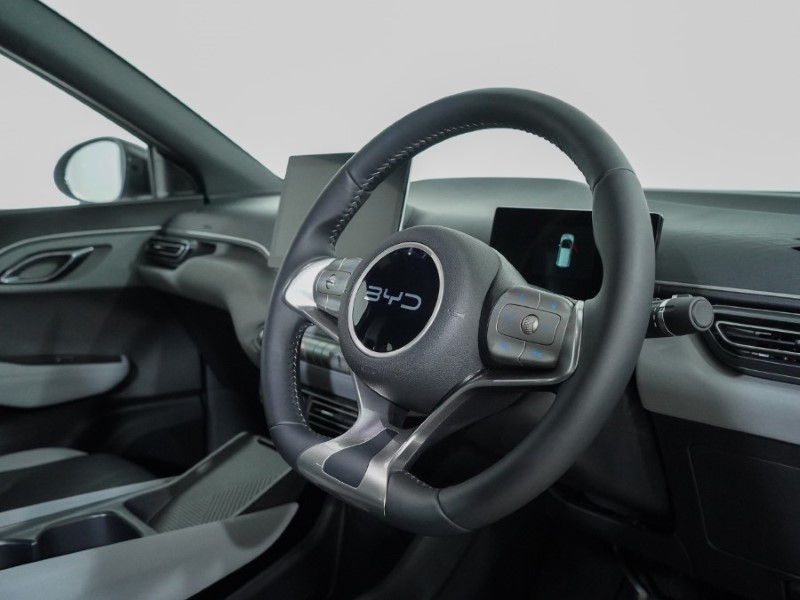 Used BYD Dolphin 2025 for sale - 77077064: Photo 6