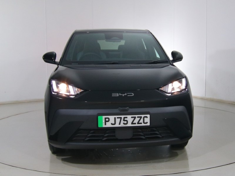 Used BYD Dolphin 2025 for sale - 77113017: Photo 16