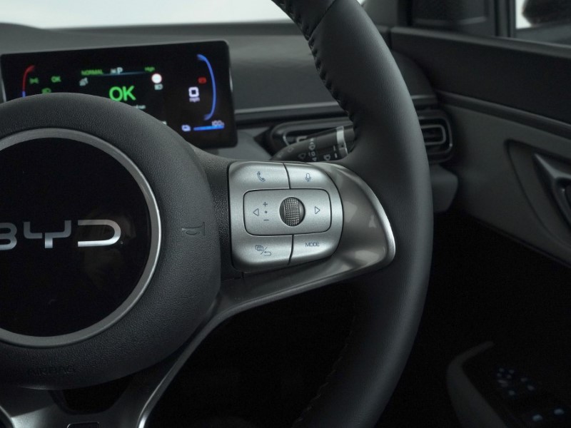 Used BYD Dolphin 2025 for sale - 77113017: Photo 28