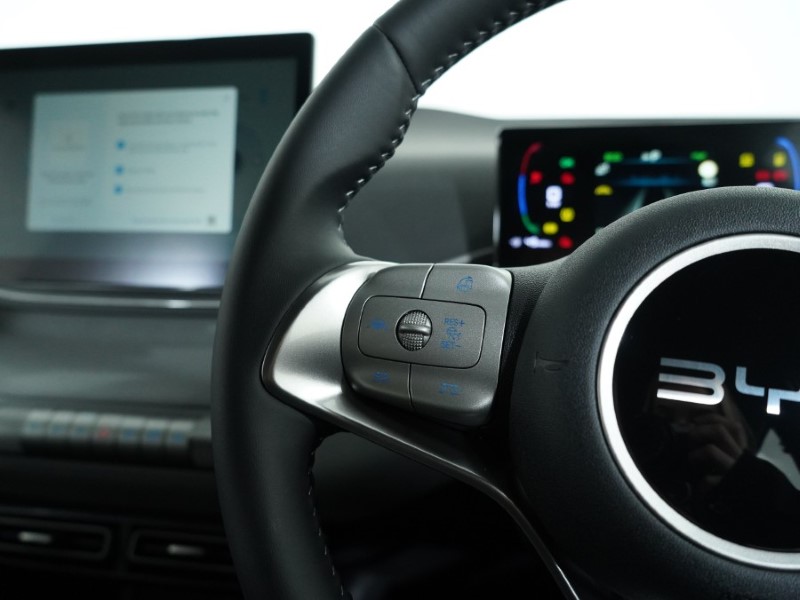 Used BYD Dolphin 2025 for sale - 77087668: Photo 19