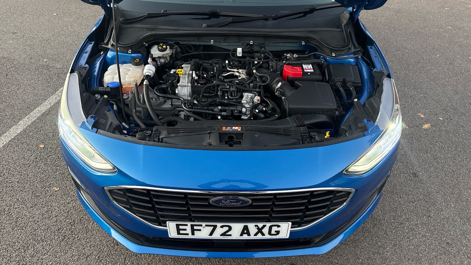 Used Ford Focus 2022 for sale - 76614664: Photo 8