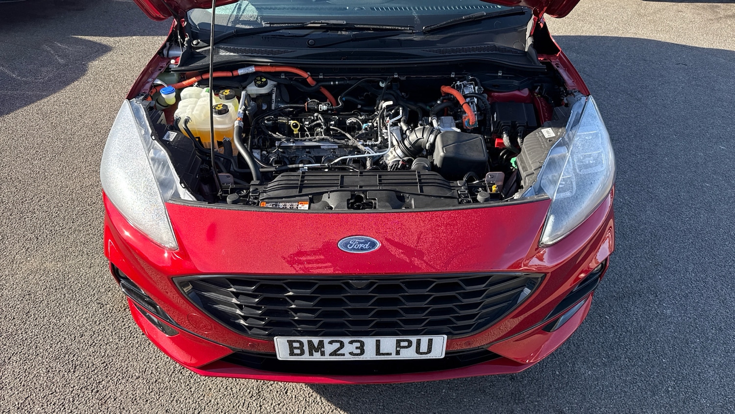 Used Ford Kuga 2023 for sale - 76101982: Photo 8