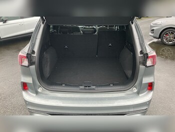 Used Ford Kuga 2023 for sale - 77474610: Photo