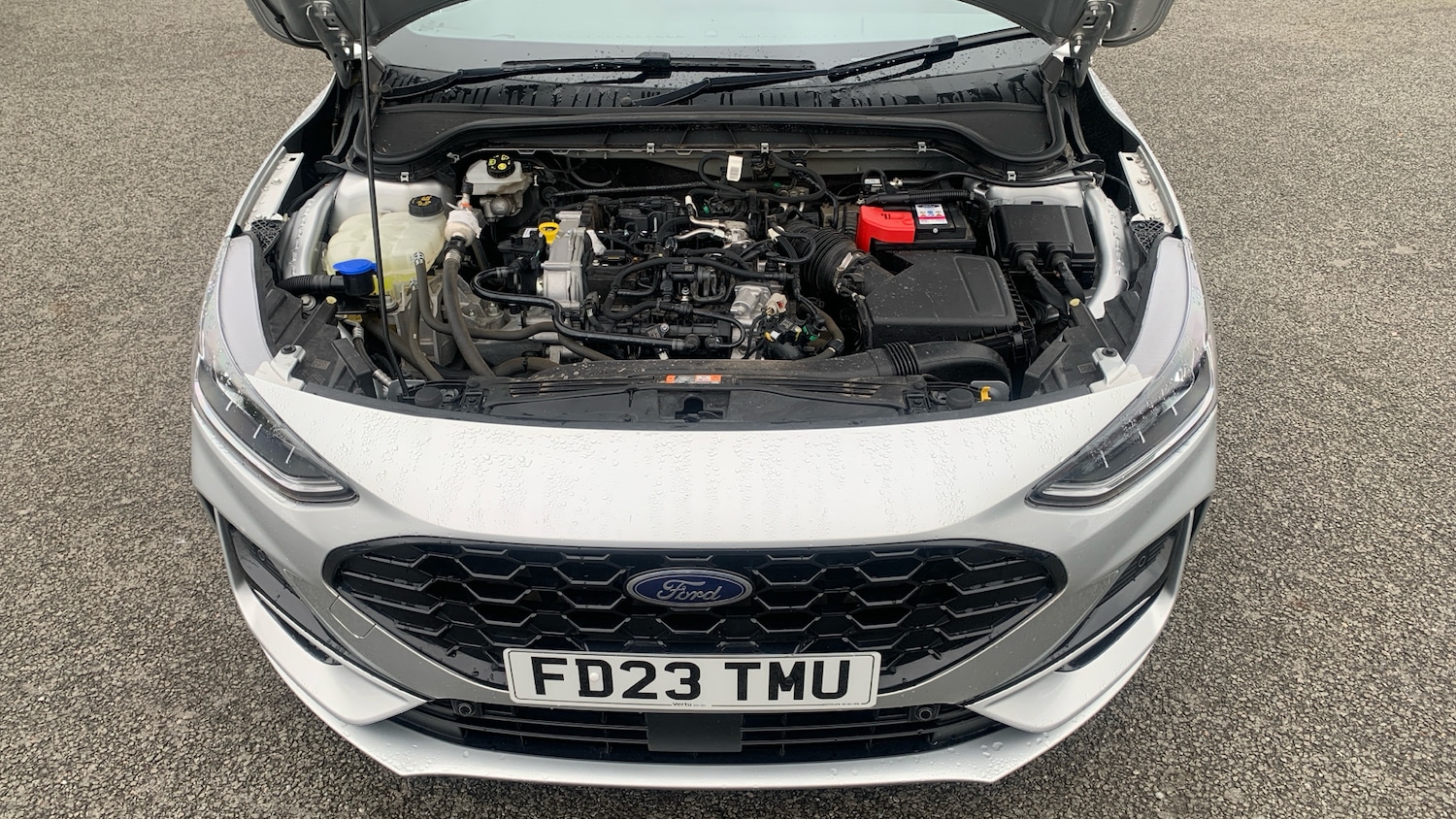 Used Ford Focus 2023 for sale - 76262776: Photo 8