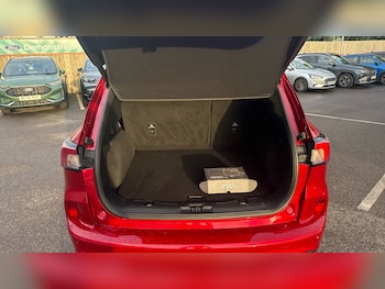 Used Ford Kuga 2023 for sale - 78093343: Photo