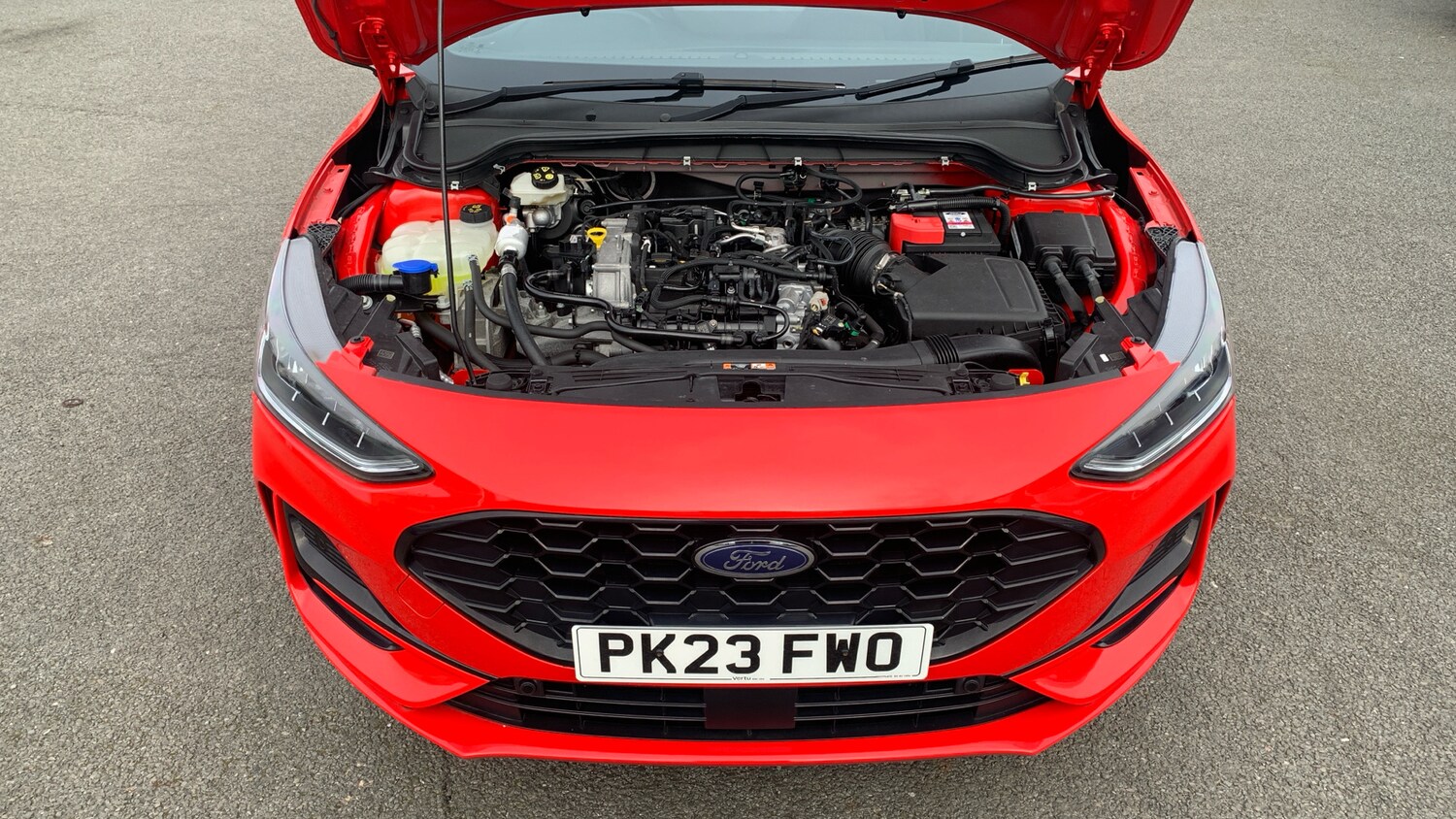 Used Ford Focus 2023 for sale - 77996902: Photo 8