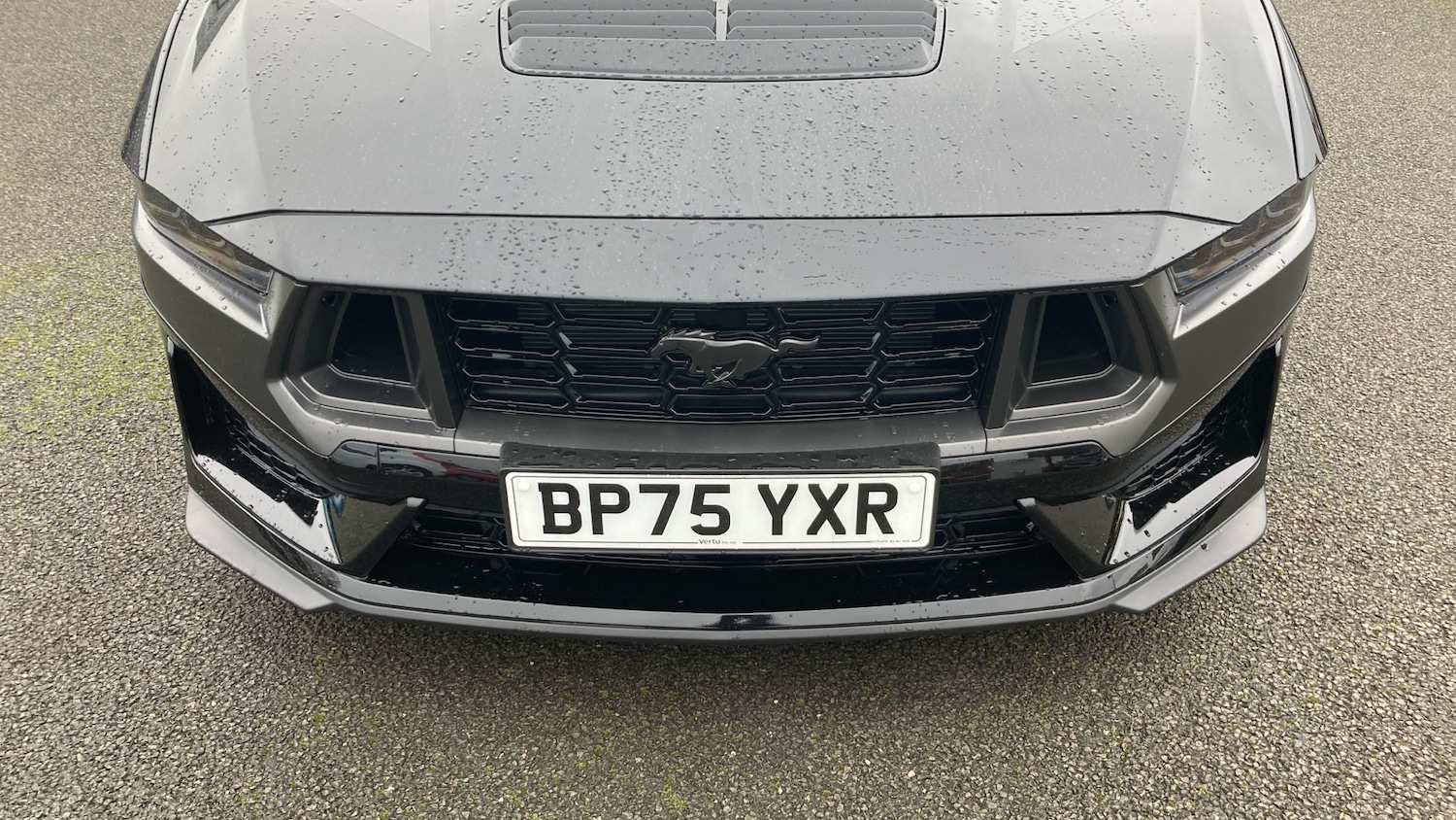 Used Ford Mustang 2025 for sale - 77830433: Photo 42