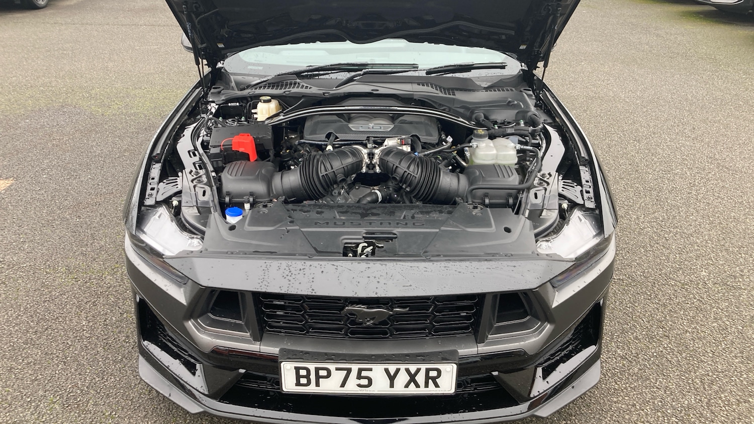 Used Ford Mustang 2025 for sale - 77830433: Photo 8