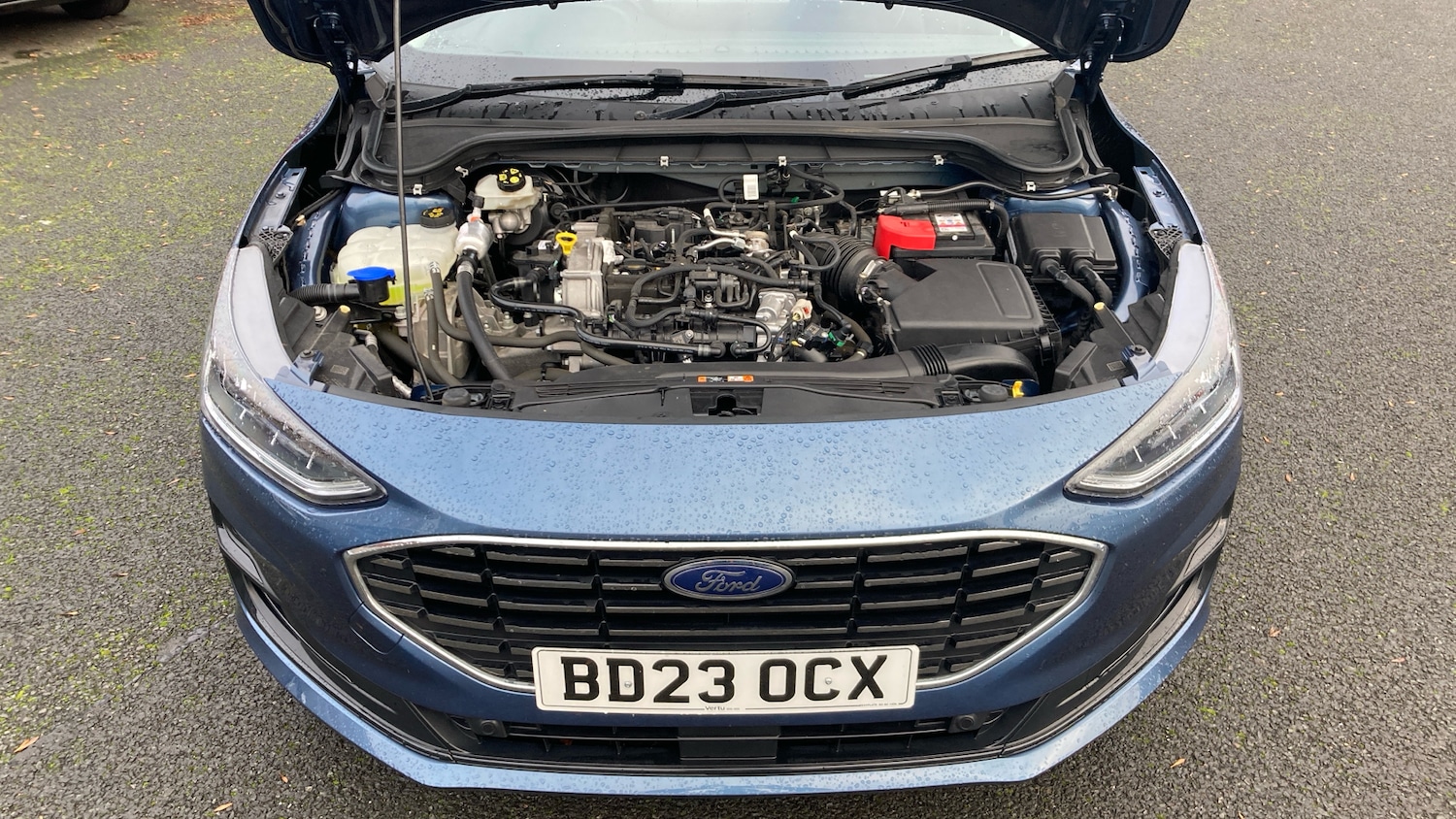 Used Ford Focus 2023 for sale - 77071423: Photo 8