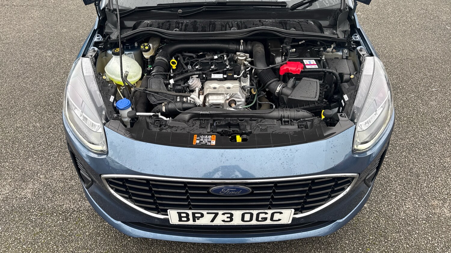 Used Ford Fiesta 2023 for sale - 77789481: Photo 8