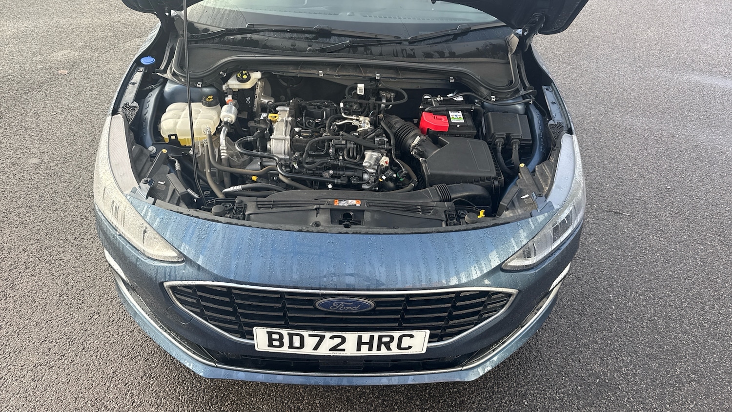 Used Ford Focus 2022 for sale - 77103345: Photo 8