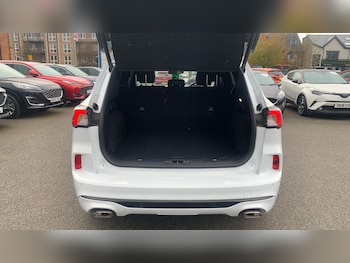 Used Ford Kuga 2023 for sale - 78249748: Photo