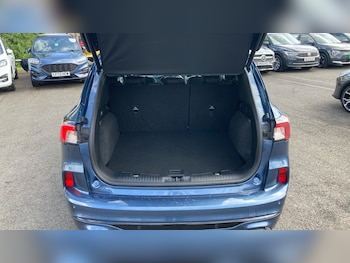 Used Ford Kuga 2023 for sale - 78531208: Photo