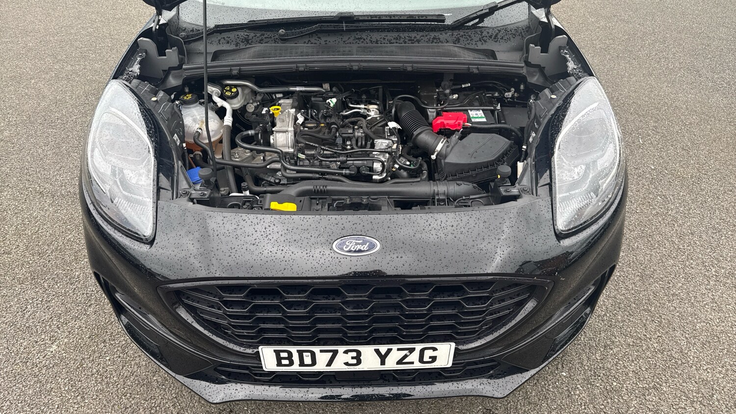 Used Ford Puma 2023 for sale - 77687921: Photo 8