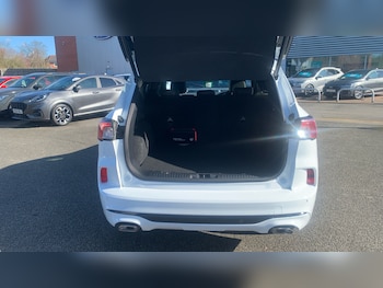 Used Ford Kuga 2022 for sale - 78027052: Photo