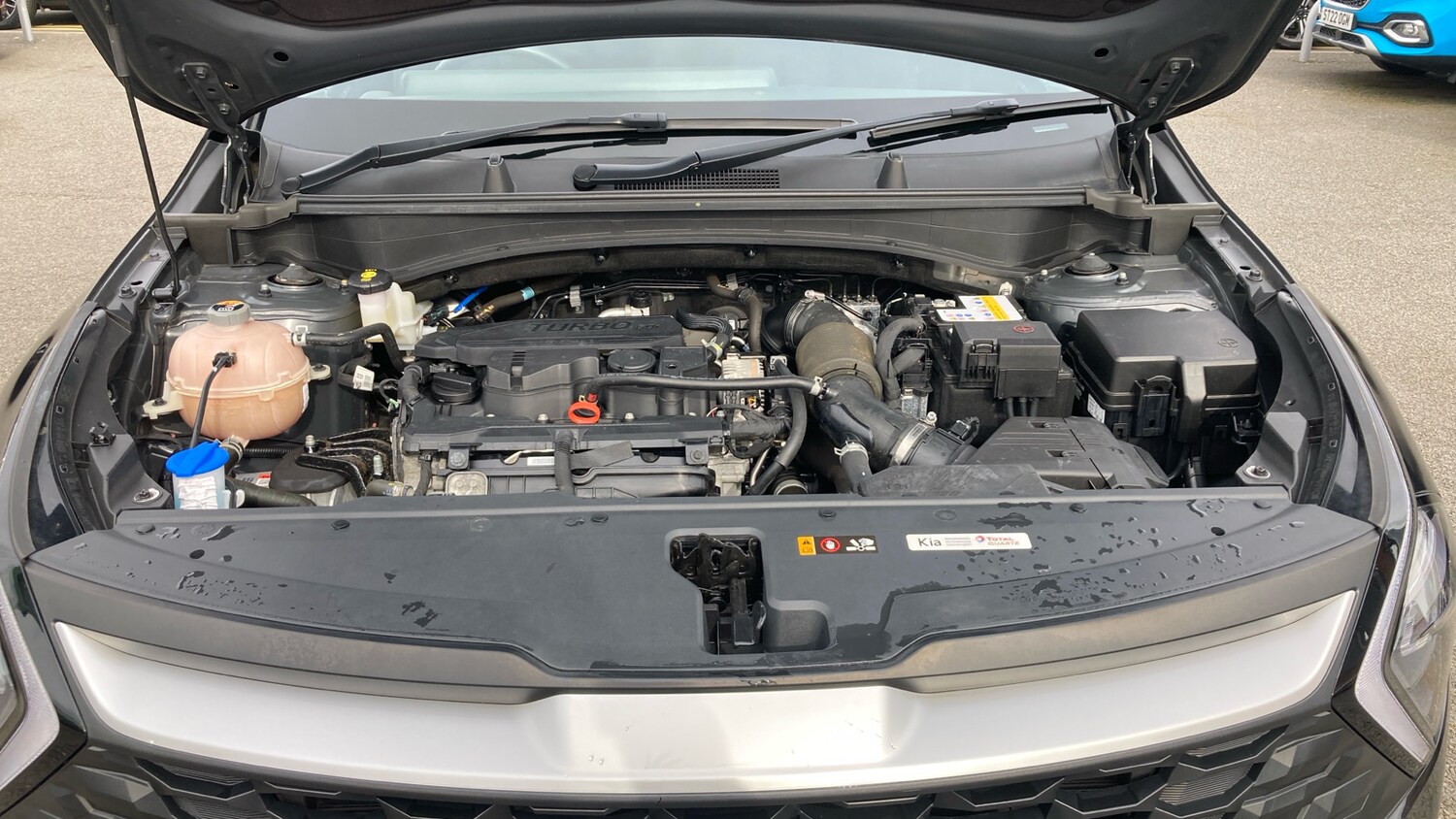 Used Kia Sportage 2023 for sale - 77997491: Photo 8