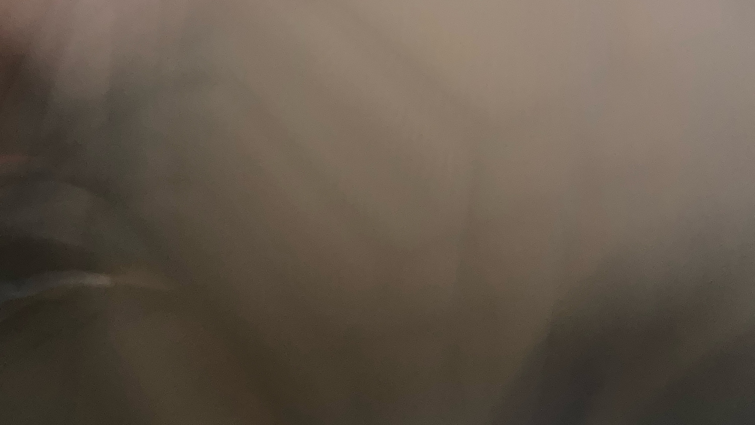 Used Ford Focus 2024 for sale - 77179445: Photo 34