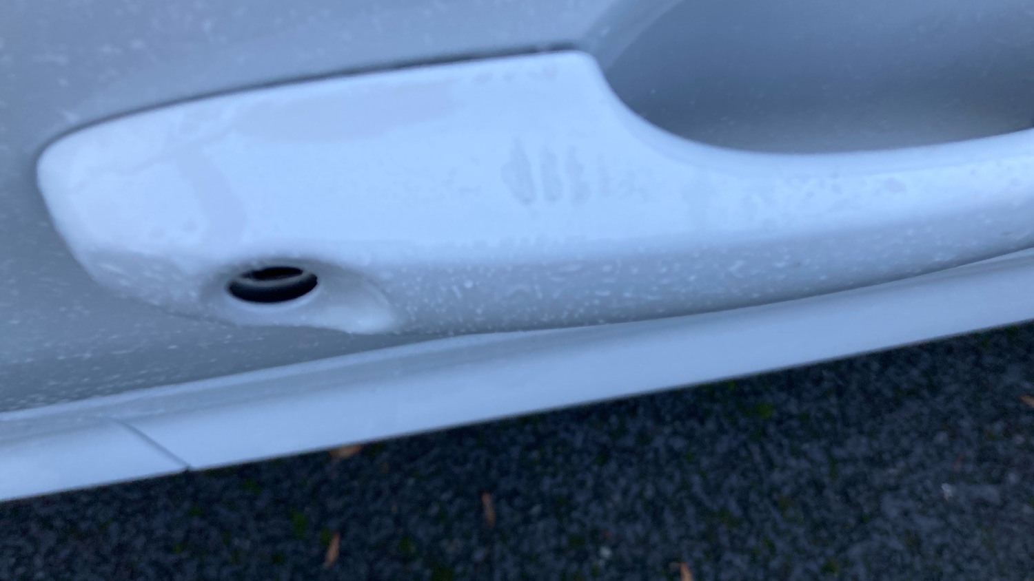 Used Ford Focus 2024 for sale - 77179445: Photo 45