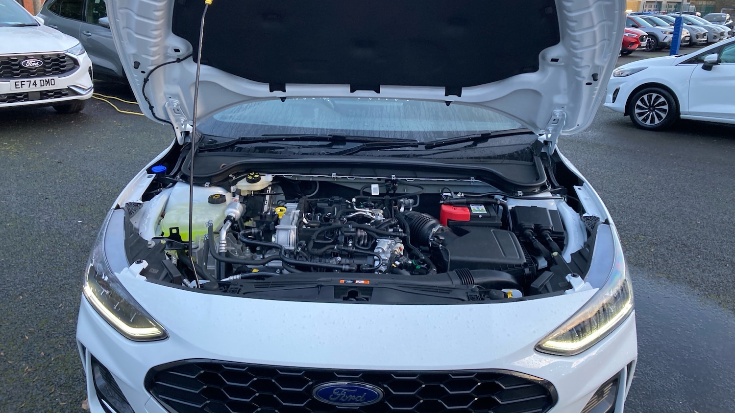 Used Ford Focus 2024 for sale - 77179445: Photo 8