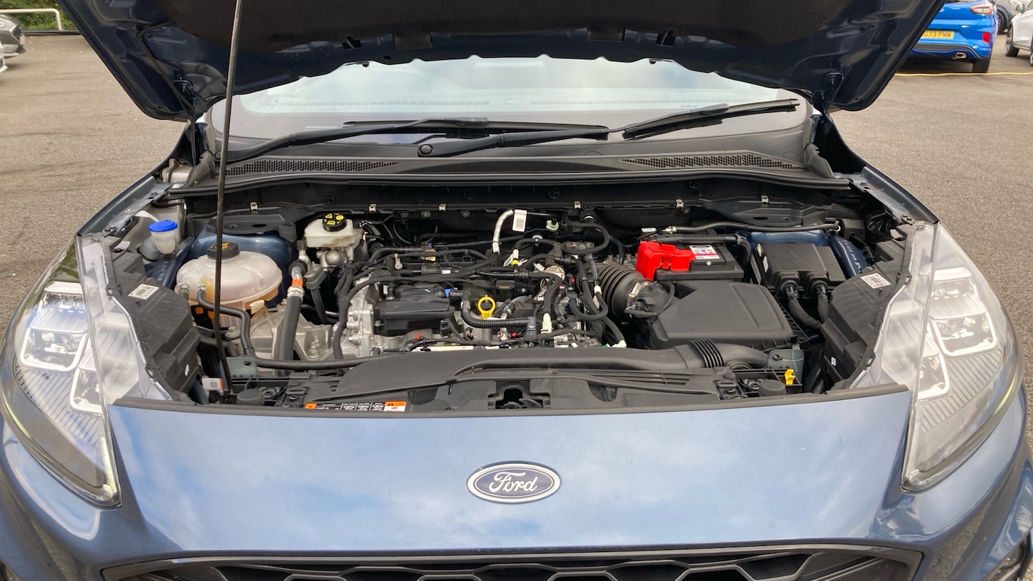 Used Ford Kuga 2023 for sale - 77135661: Photo 8