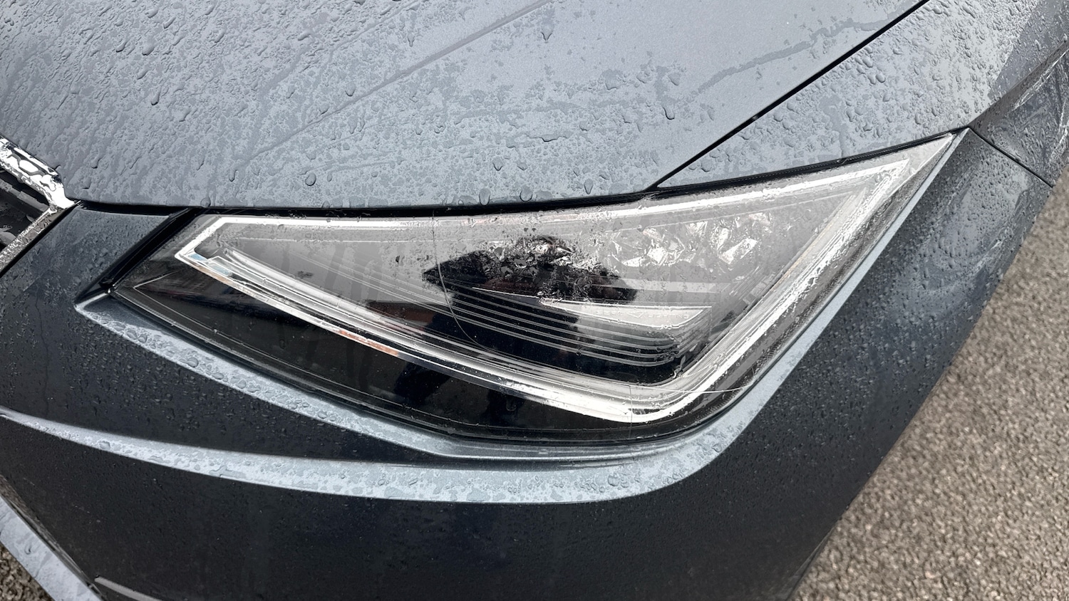 Used SEAT Ibiza 2021 for sale - 77532609: Photo 24