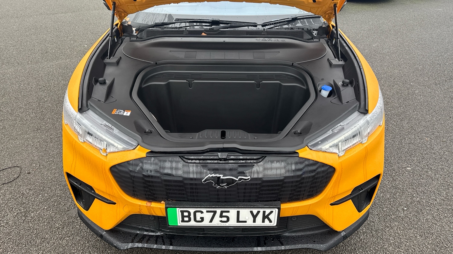 Used Ford Mustang Mach-E 2025 for sale - 77018994: Photo 8