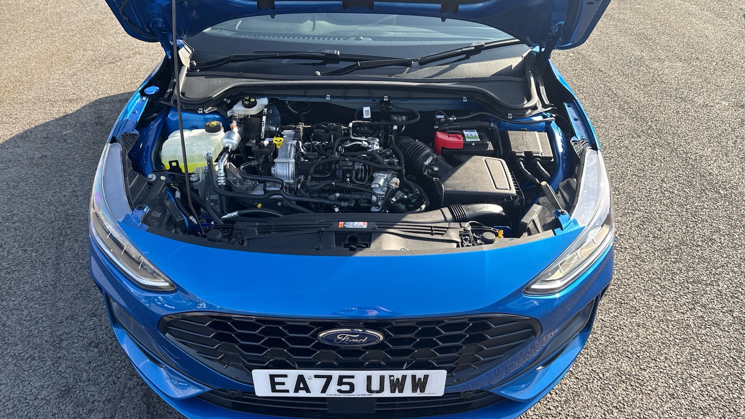 Used Ford Focus 2025 for sale - 78168697: Photo 8