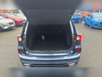 Used Ford Kuga 2023 for sale - 77871962: Photo