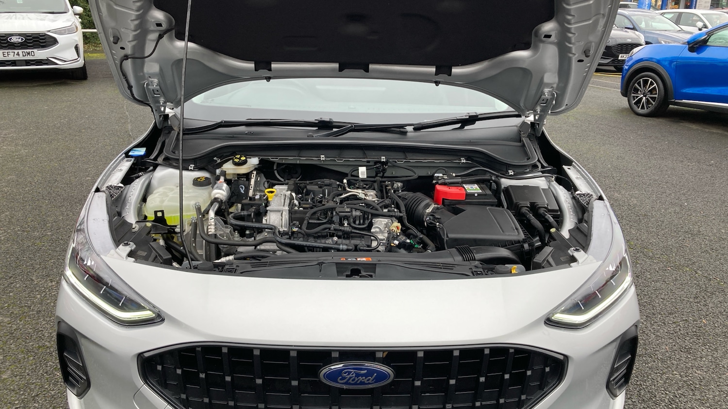 Used Ford Focus 2025 for sale - 77363894: Photo 8