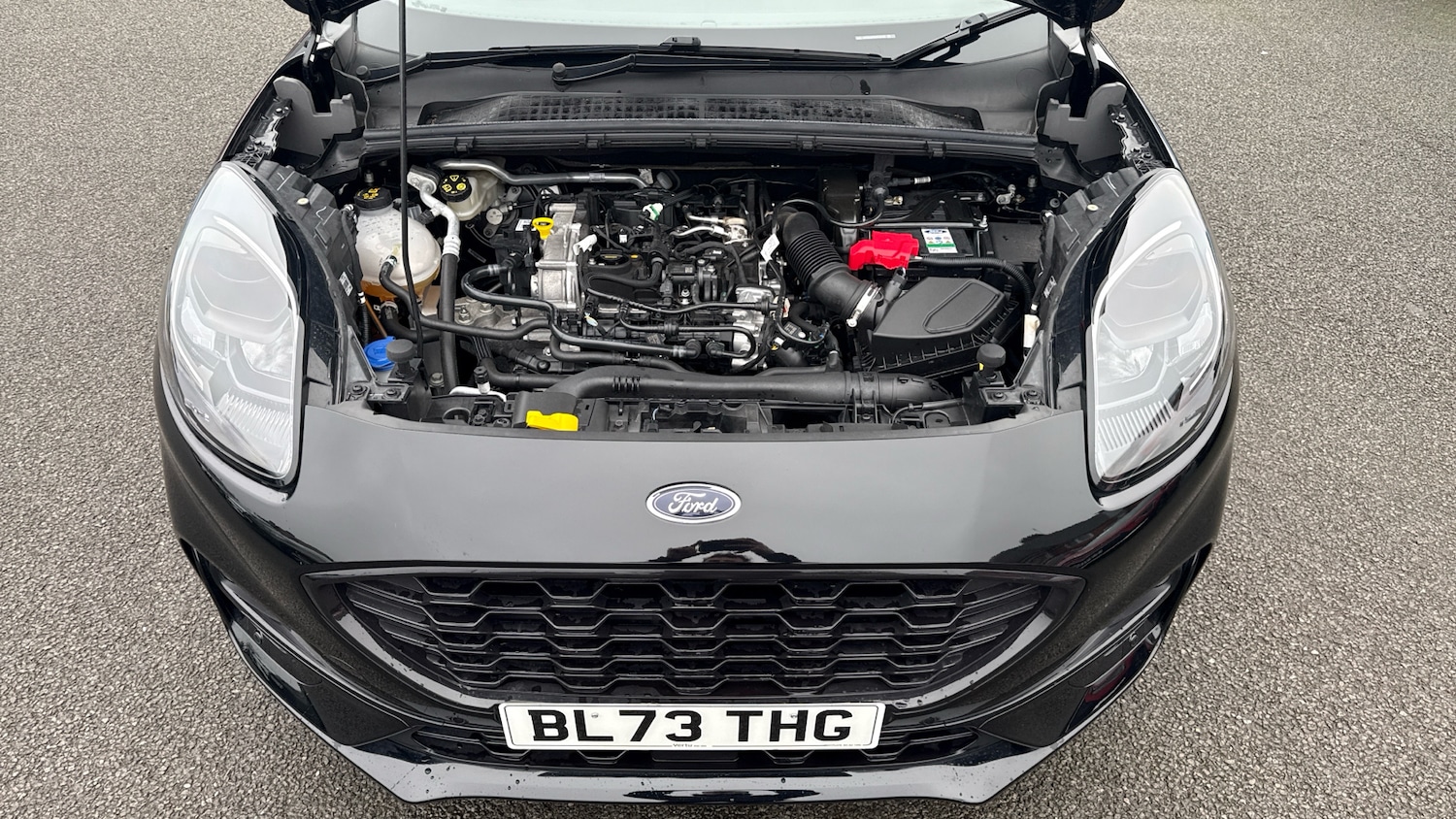 Used Ford Puma 2023 for sale - 77445600: Photo 8