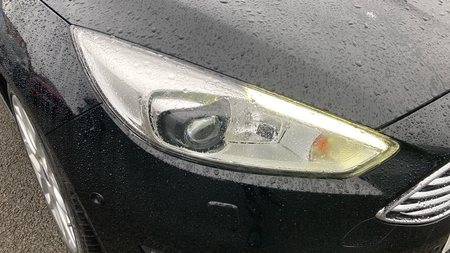 Used Ford Focus 2016 for sale - 76829562: Photo 22