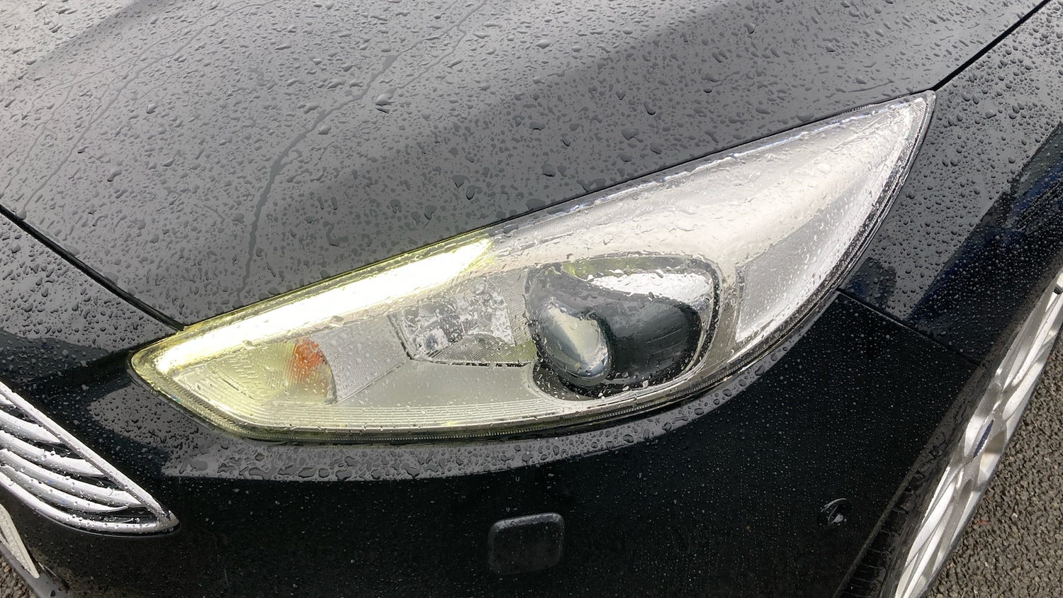 Used Ford Focus 2016 for sale - 76829562: Photo 23