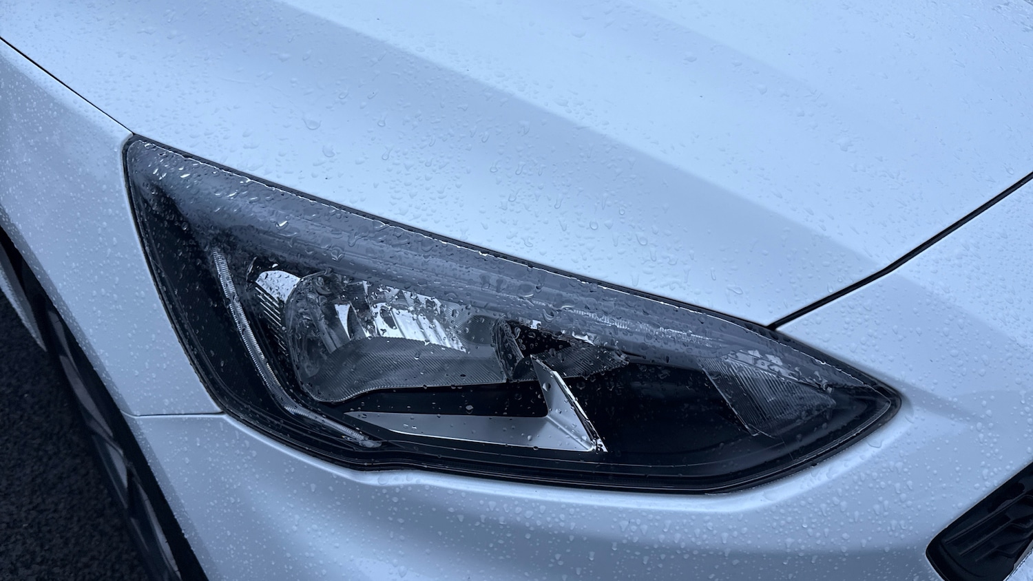 Used Ford Focus 2019 for sale - 77032787: Photo 23