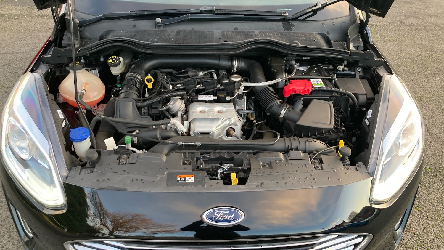 Used Ford Fiesta 2017 for sale - 76637574: Photo 8