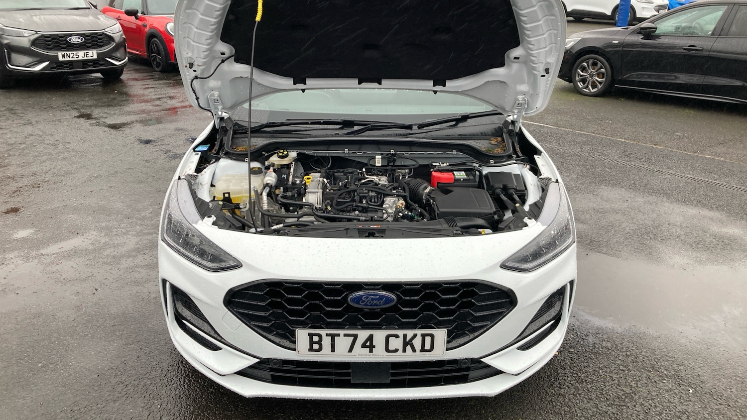 Used Ford Focus 2024 for sale - 76669109: Photo 8