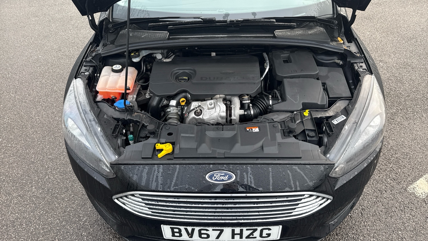 Used Ford Focus 2017 for sale - 76941249: Photo 8