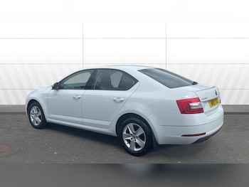Used Skoda Octavia 2019 for sale - 75788776: Photo