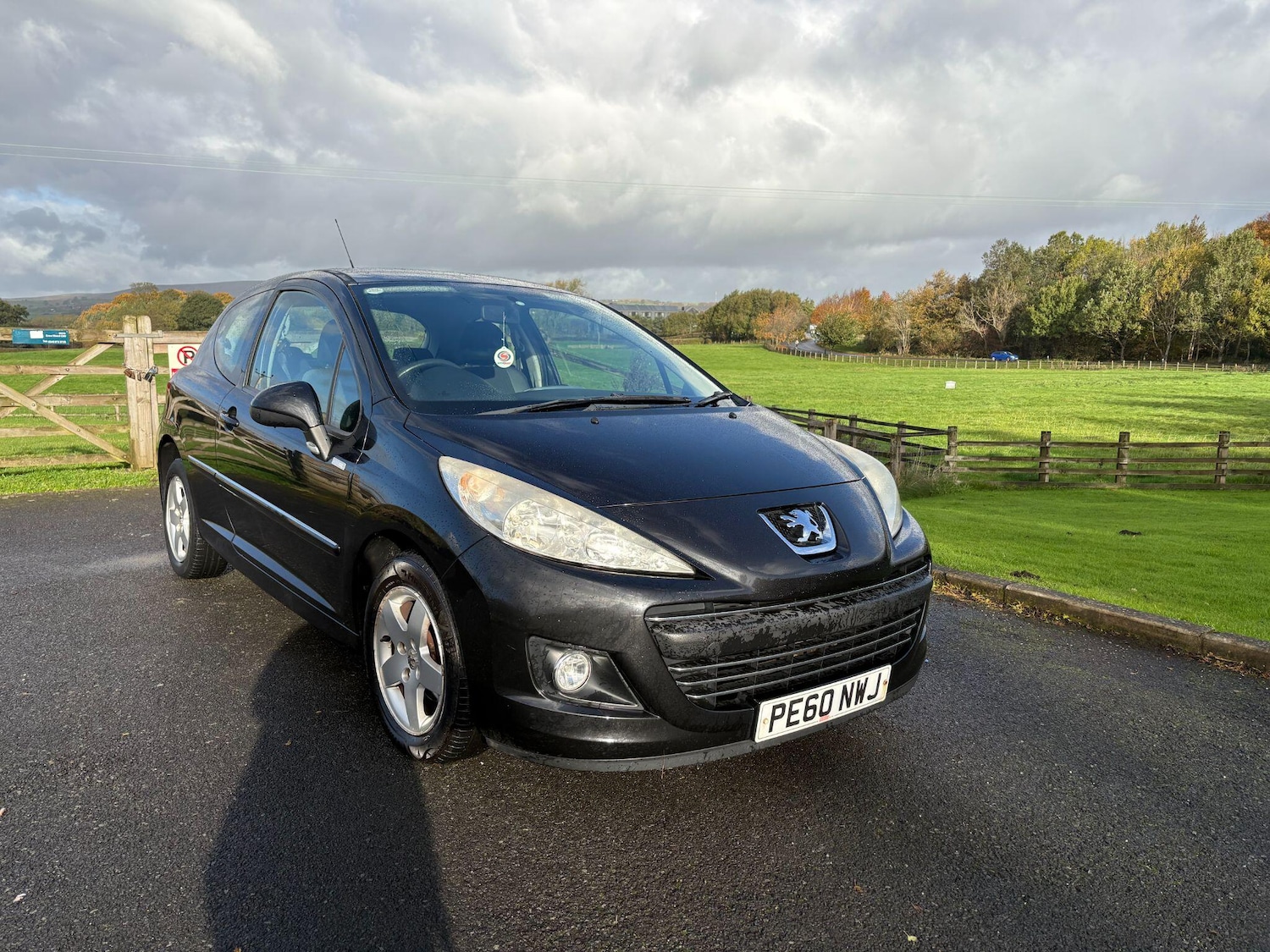 Used Peugeot 207 2010 for sale - 76976241: Photo 1