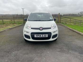 Used Fiat Panda 2014 for sale - 70055907: Photo