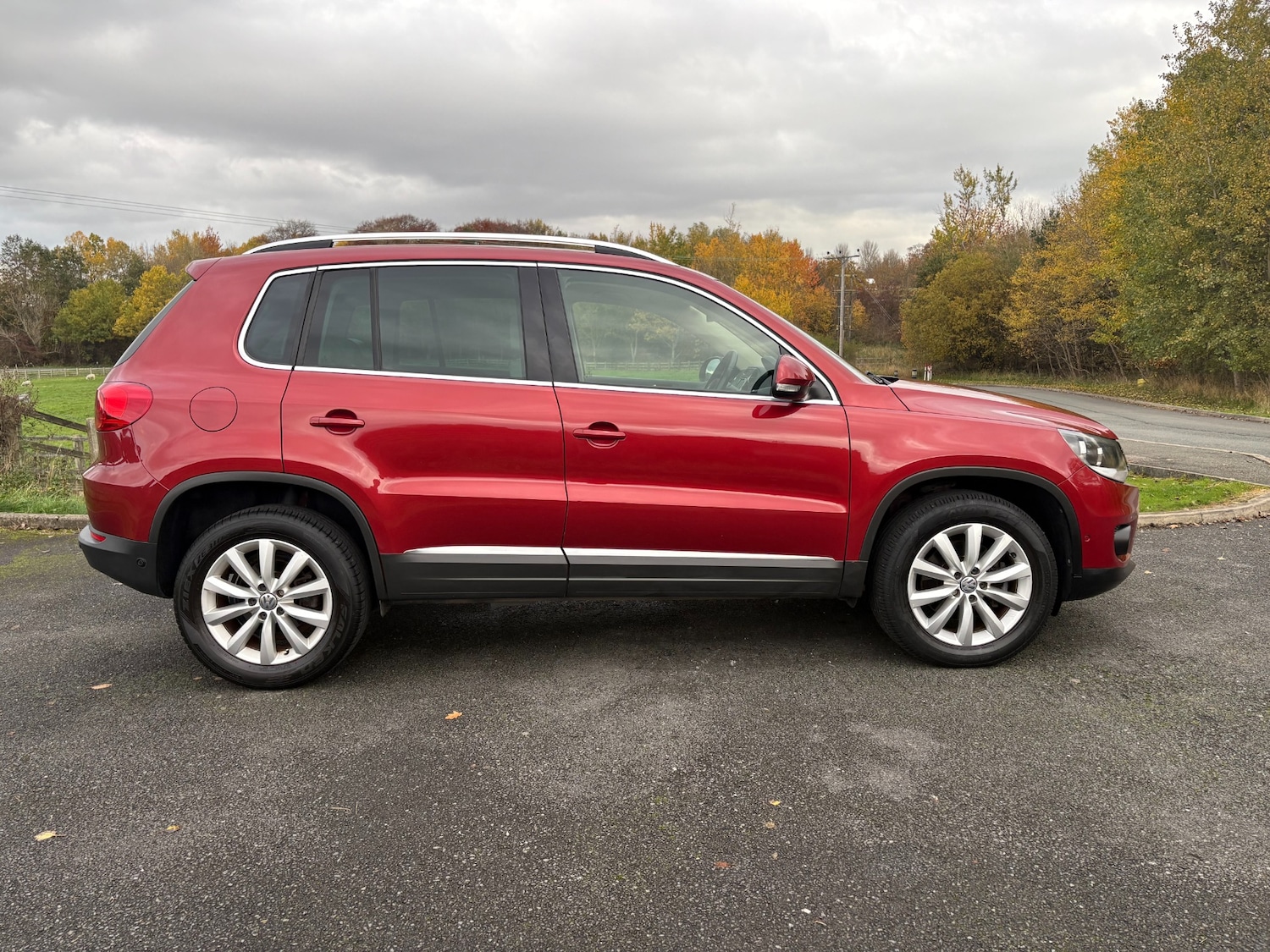 Used Volkswagen Tiguan 2014 for sale - 76319488: Photo 9