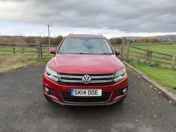 Used Volkswagen Tiguan 2014 for sale - 76976729: Photo