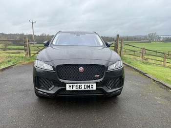 Used Jaguar F-Pace 2016 for sale - 77970743: Photo