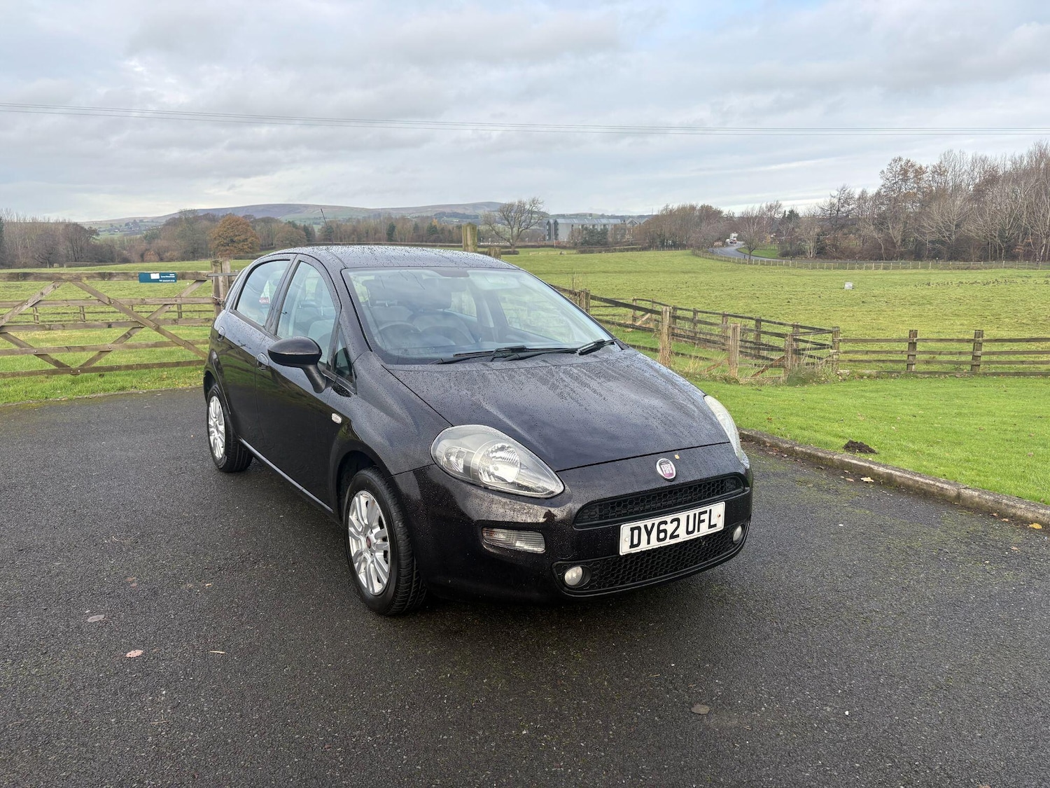 Used Fiat Punto 2012 for sale - 76976289: Photo 1