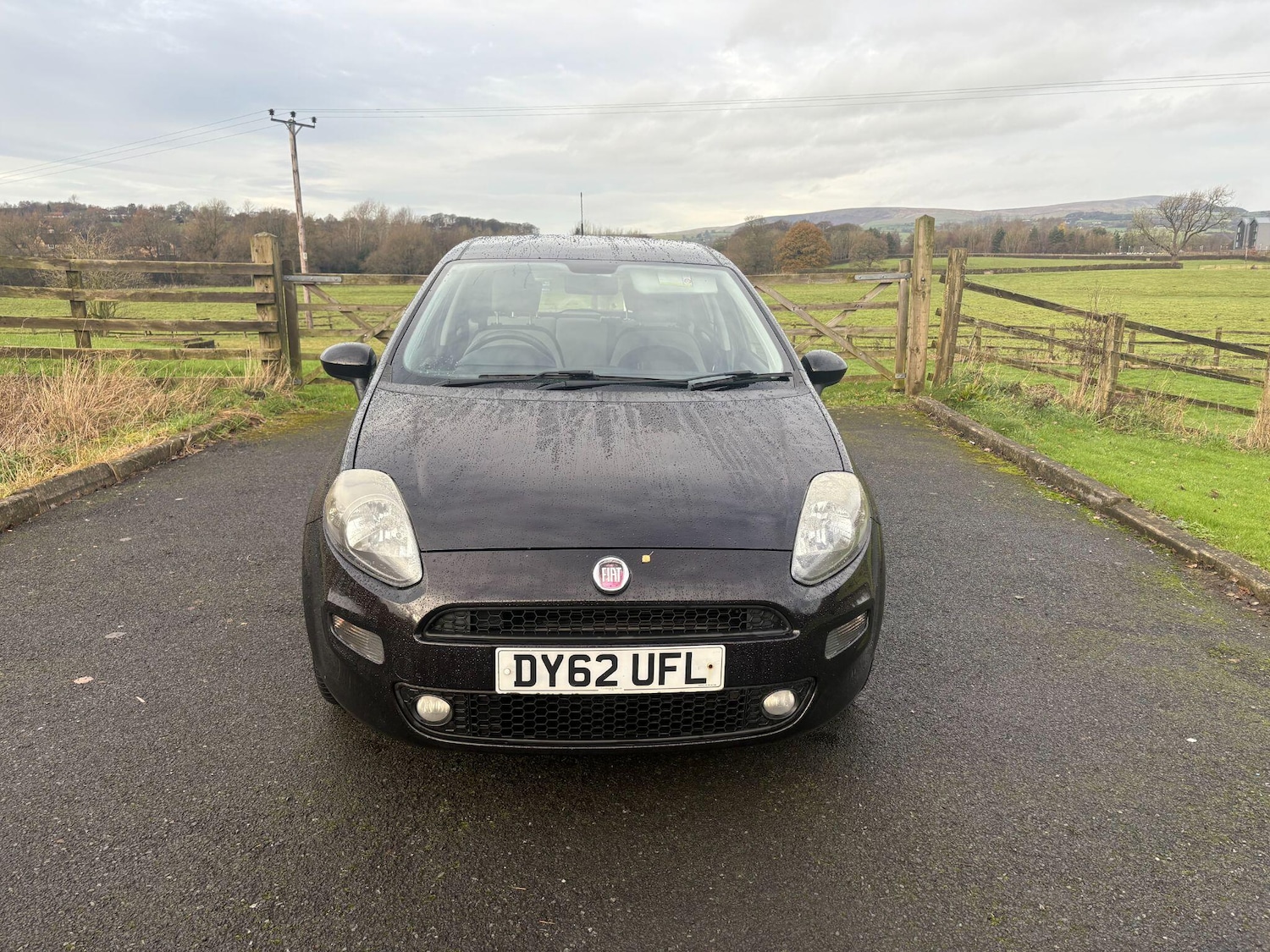Used Fiat Punto 2012 for sale - 76976289: Photo 2